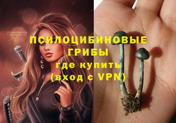герыч Алзамай