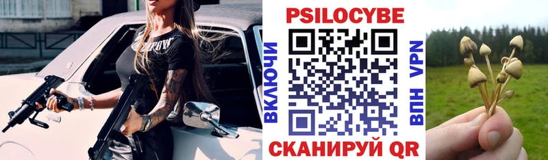 Псилоцибиновые грибы Psilocybine cubensis  Оса 
